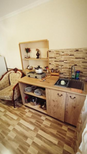 Central Apartment 